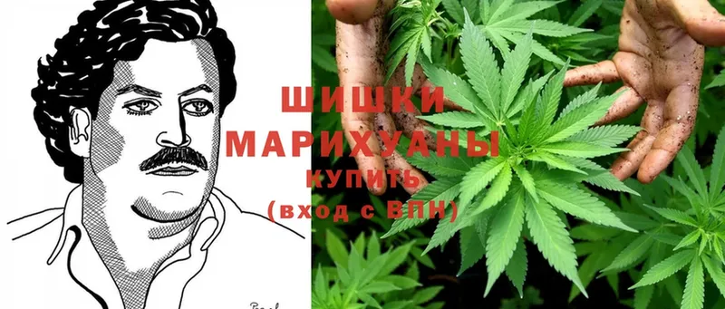 Бошки Шишки OG Kush  Ульяновск 